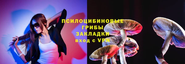 метадон Алексин
