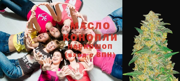 метадон Алексин