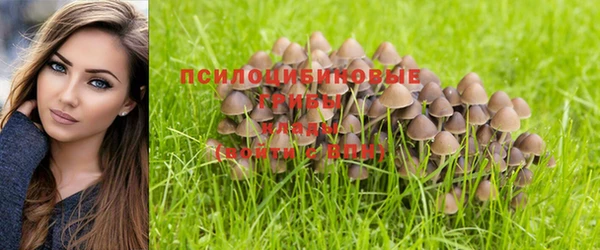 каннабис Алзамай