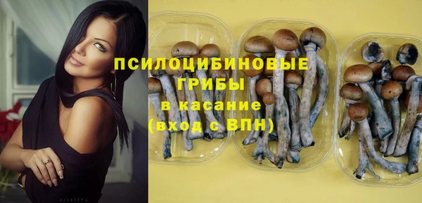 метадон Алексин