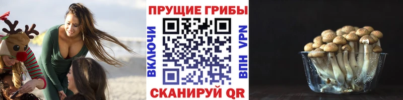 Псилоцибиновые грибы Magic Shrooms  Цоци-Юрт 